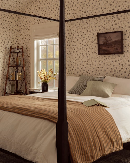 On the Moor by Joon Loloi