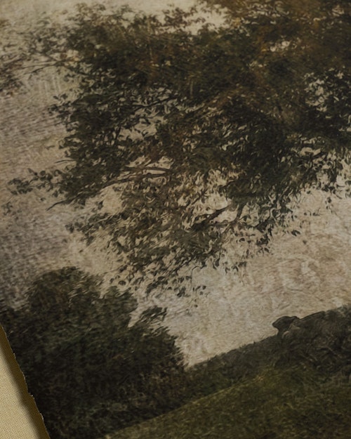 Atop the Hill by Joon Loloi