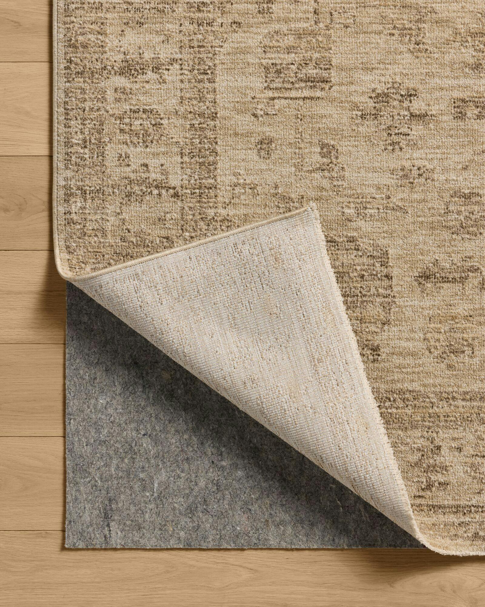 Chandra Rug | Joon Loloi