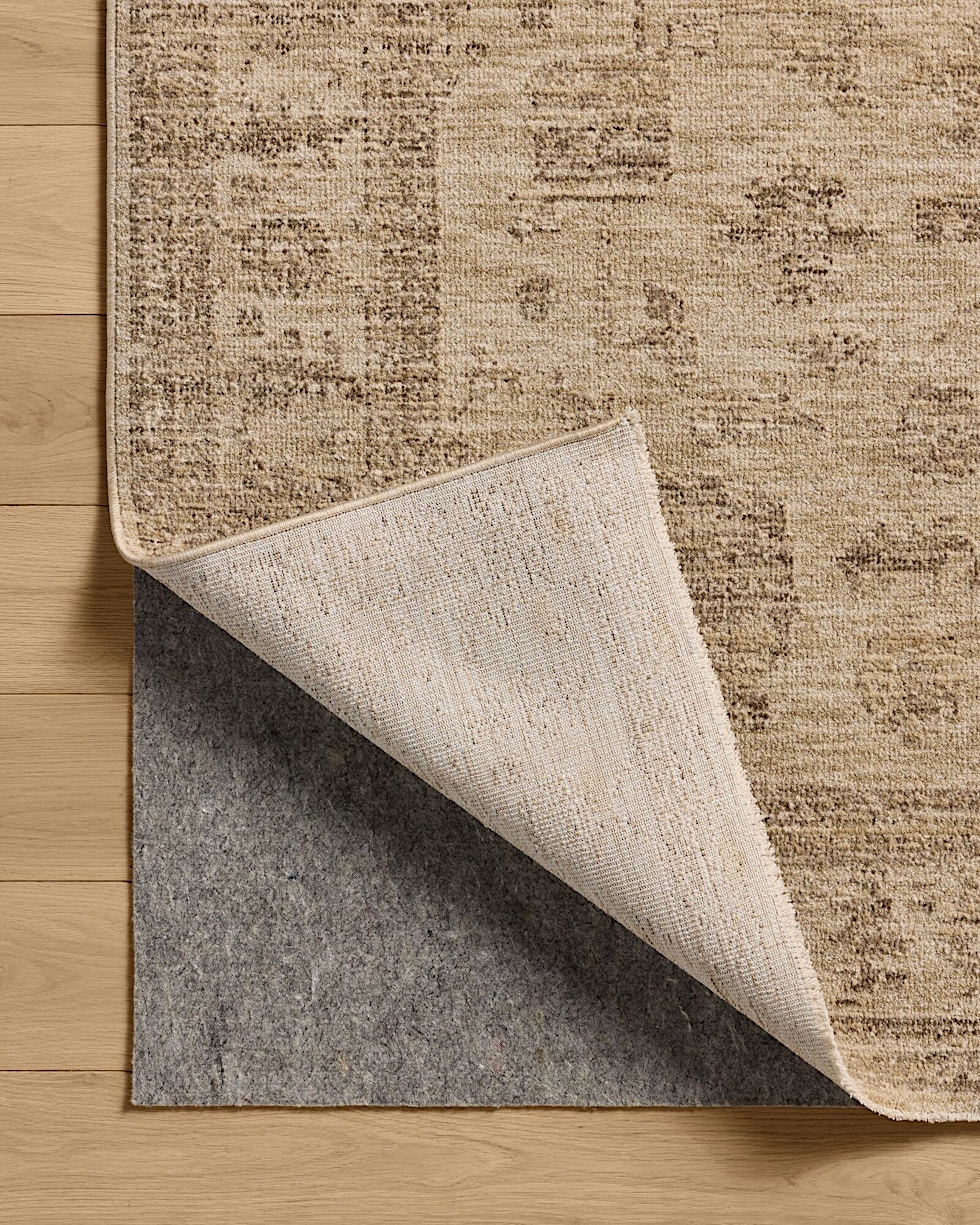 Chandra Rug | Joon Loloi