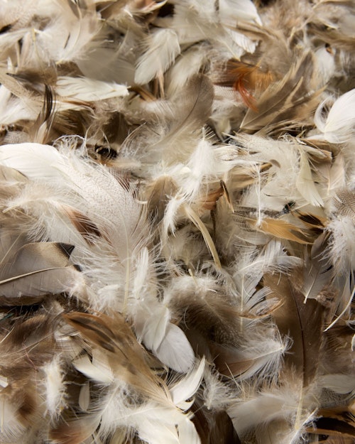 Feather Pillow Insert