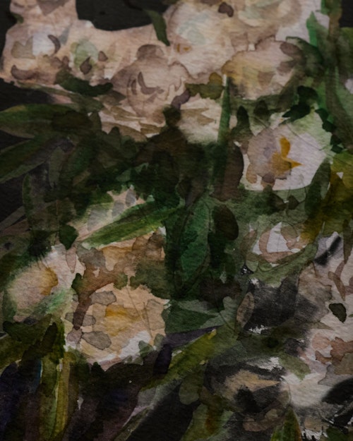 Watercolor Blooms by Getty Images