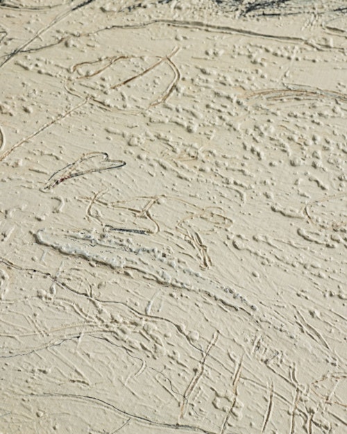 Examination Of The Rose by Tyler Guinn