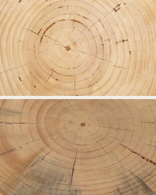 The handmade construction and natural wood material mean that variations, like cracks, knots, and color variances—including patches of darker coloring—are to be expected with this piece.