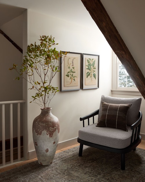 16th Century Mala Insana by Getty Images