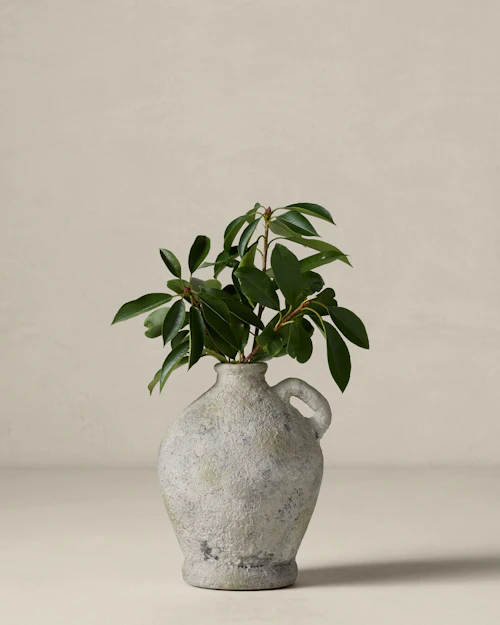 Desdemona Terracotta Vase